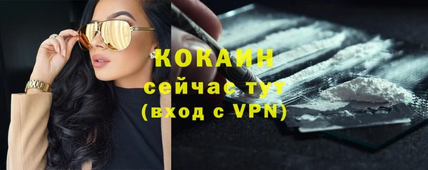 apvp Аркадак
