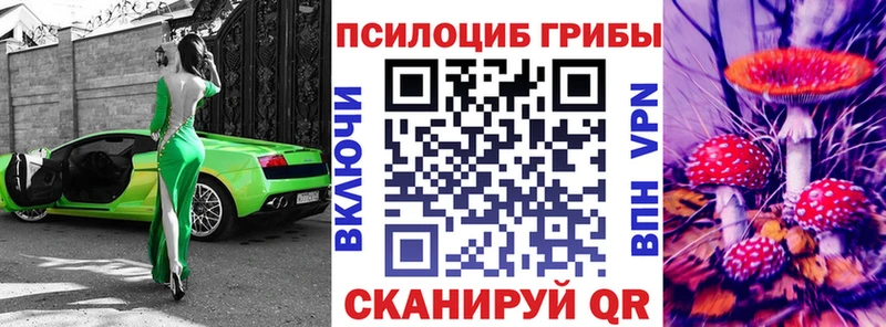 Галлюциногенные грибы прущие грибы  Купить где  Липки 